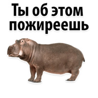Молодёжный сленг