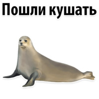 Молодёжный сленг