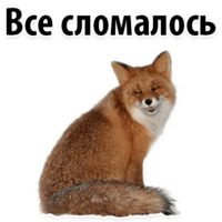 Молодёжный сленг