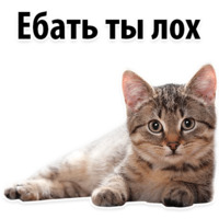 Молодёжный сленг