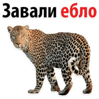 Молодёжный сленг