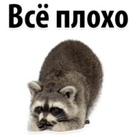 Молодёжный сленг