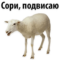 Молодёжный сленг