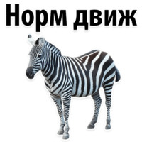 Молодёжный сленг