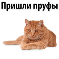 Молодёжный сленг