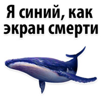Молодёжный сленг
