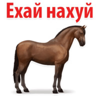 Молодёжный сленг