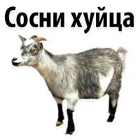 Молодёжный сленг