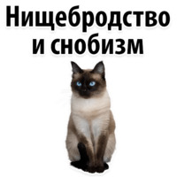 Молодёжный сленг