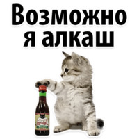 Молодёжный сленг
