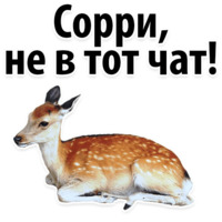 Молодёжный сленг