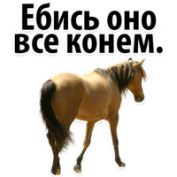 Молодёжный сленг
