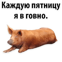 Молодёжный сленг