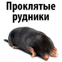 Молодёжный сленг