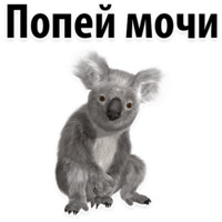 Молодёжный сленг