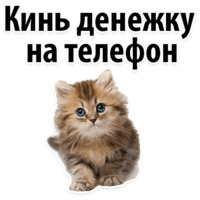 Молодёжный сленг