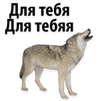 Молодёжный сленг