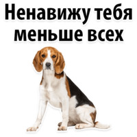 Молодёжный сленг