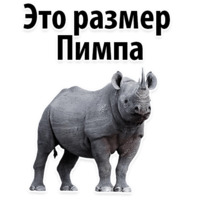 Молодёжный сленг