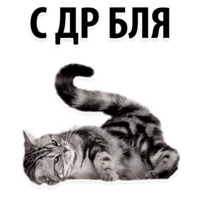 Молодёжный сленг
