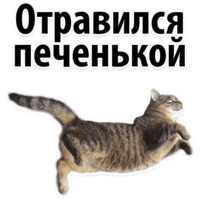Молодёжный сленг