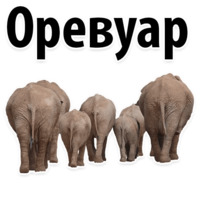 Молодёжный сленг