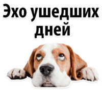 Молодёжный сленг