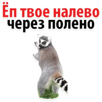 Молодёжный сленг