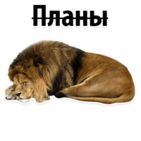 Молодёжный сленг