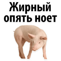 Молодёжный сленг
