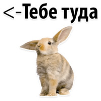 Молодёжный сленг