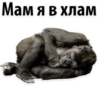 Молодёжный сленг