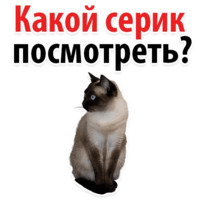 Молодёжный сленг
