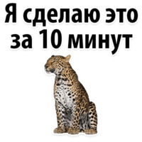 Молодёжный сленг
