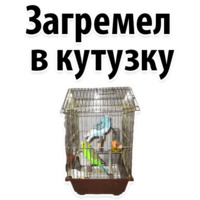 Молодёжный сленг