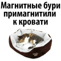 Молодёжный сленг