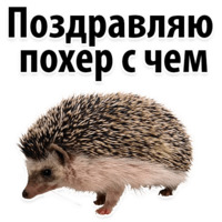Молодёжный сленг