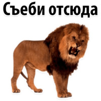 Молодёжный сленг
