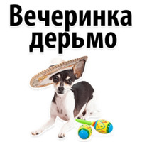 Молодёжный сленг
