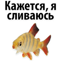 Молодёжный сленг