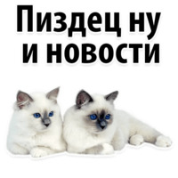 Молодёжный сленг