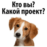 Молодёжный сленг