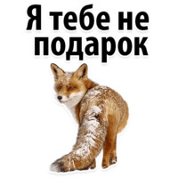 Молодёжный сленг