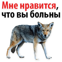 Молодёжный сленг