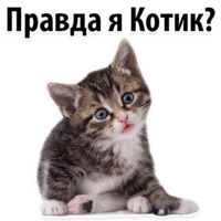 Молодёжный сленг
