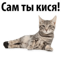Молодёжный сленг