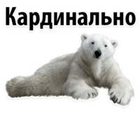 Молодёжный сленг