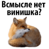Молодёжный сленг