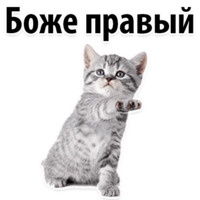 Молодёжный сленг