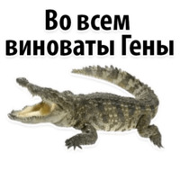 Молодёжный сленг